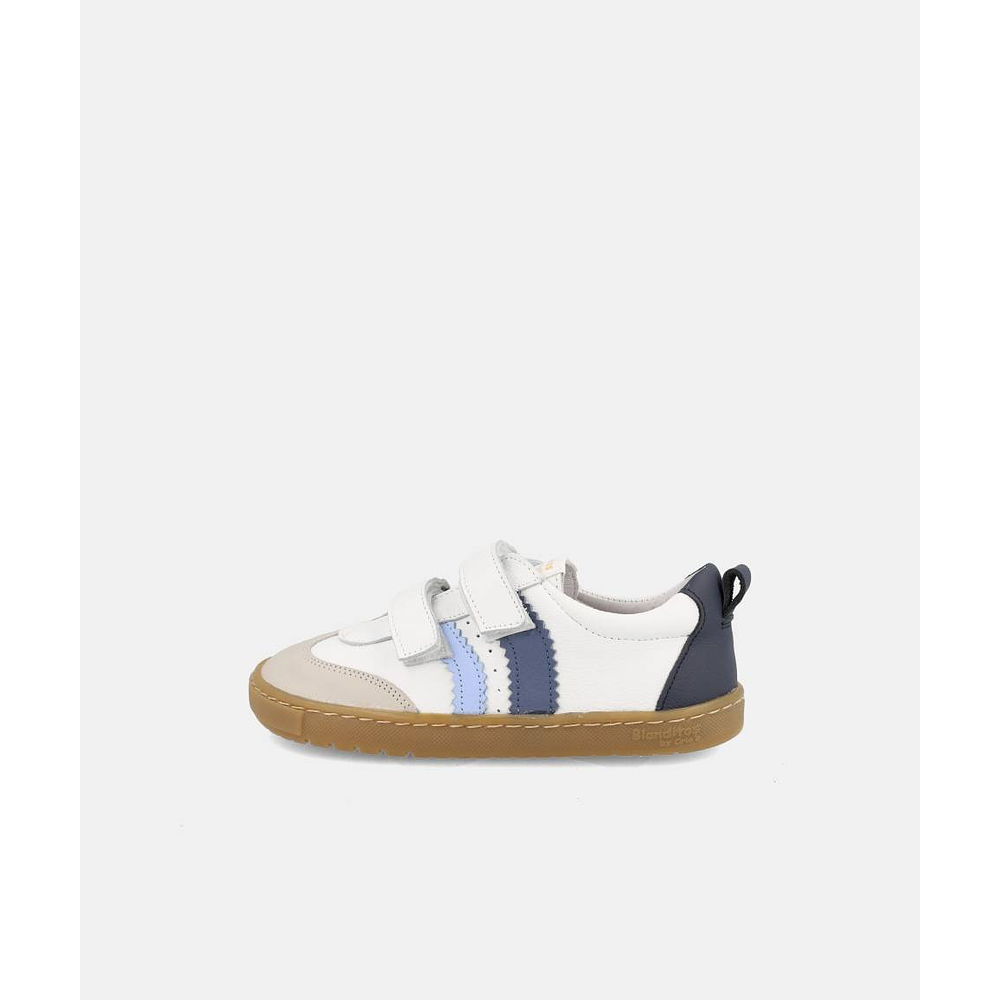 BLANDITOS - Delfin 26V