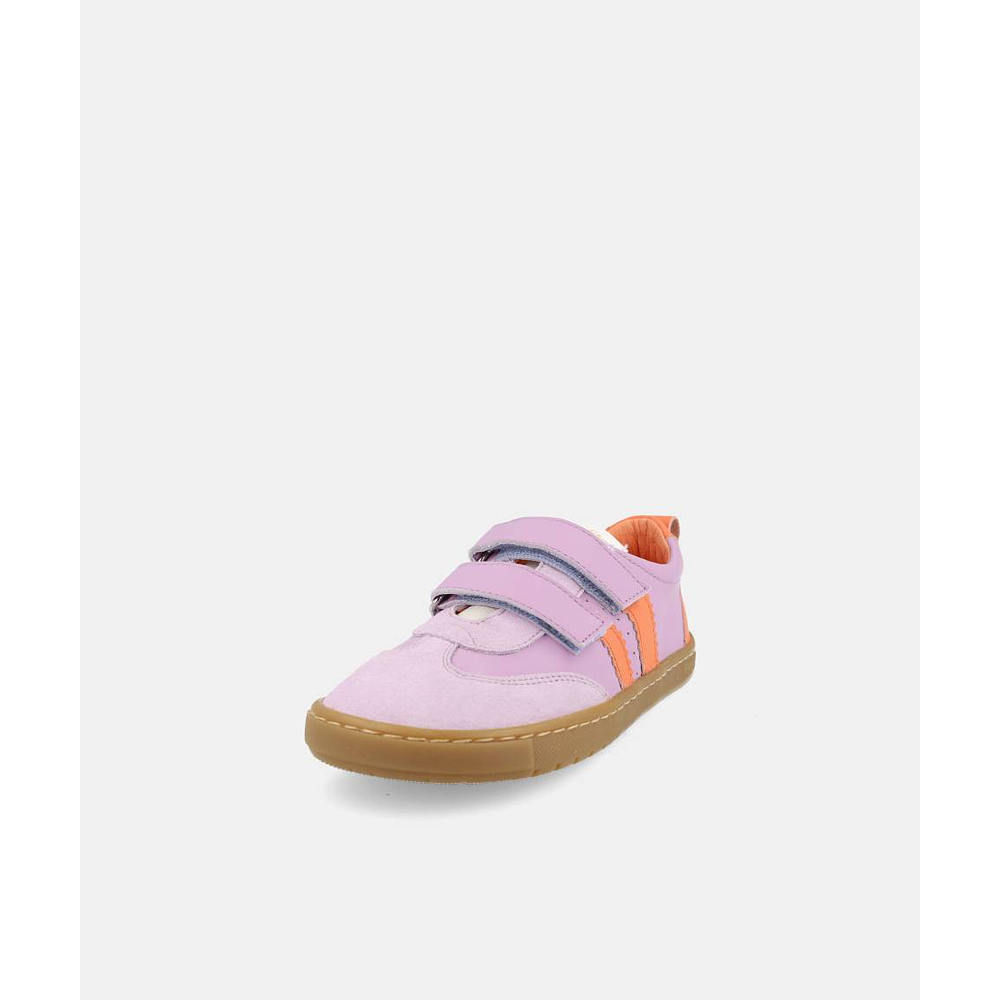 BLANDITOS - Delfin 26V