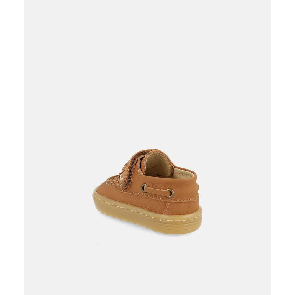 BLANDITOS - Maui 26V