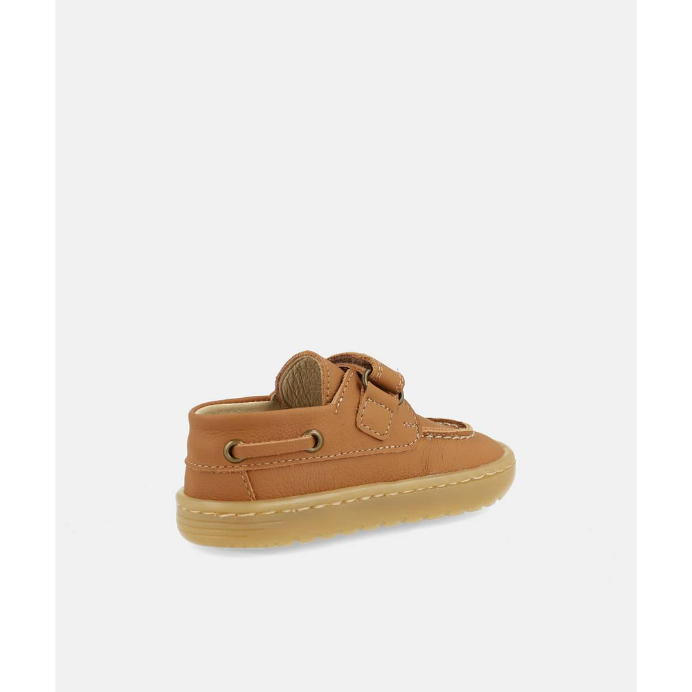 BLANDITOS - Maui 26V