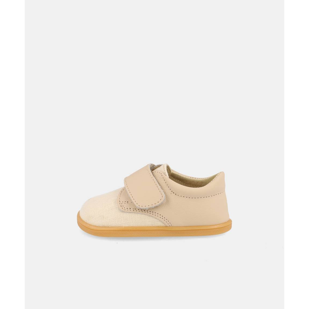 BLANDITOS - Faro 26V