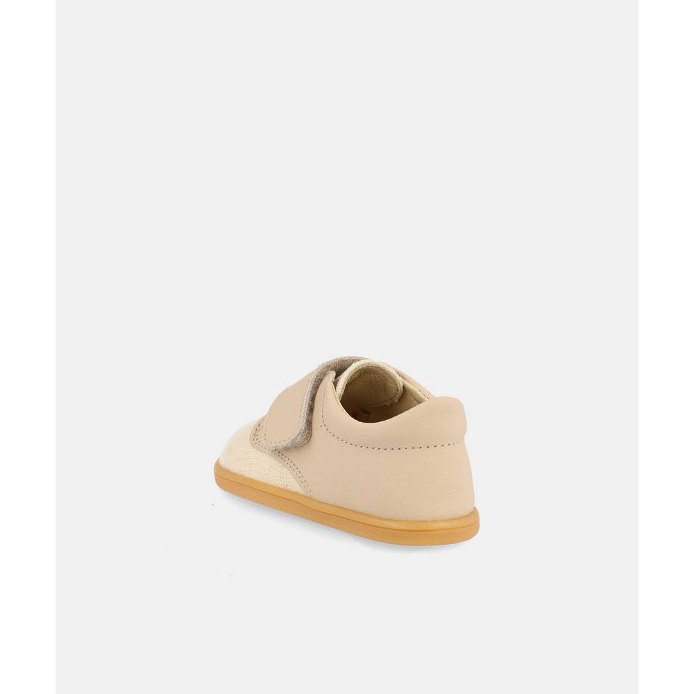 BLANDITOS - Faro 26V