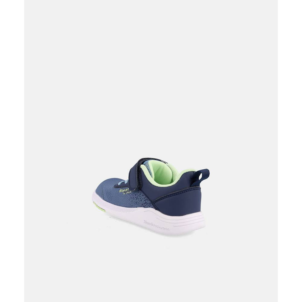 BLANDITOS - Venus 26V