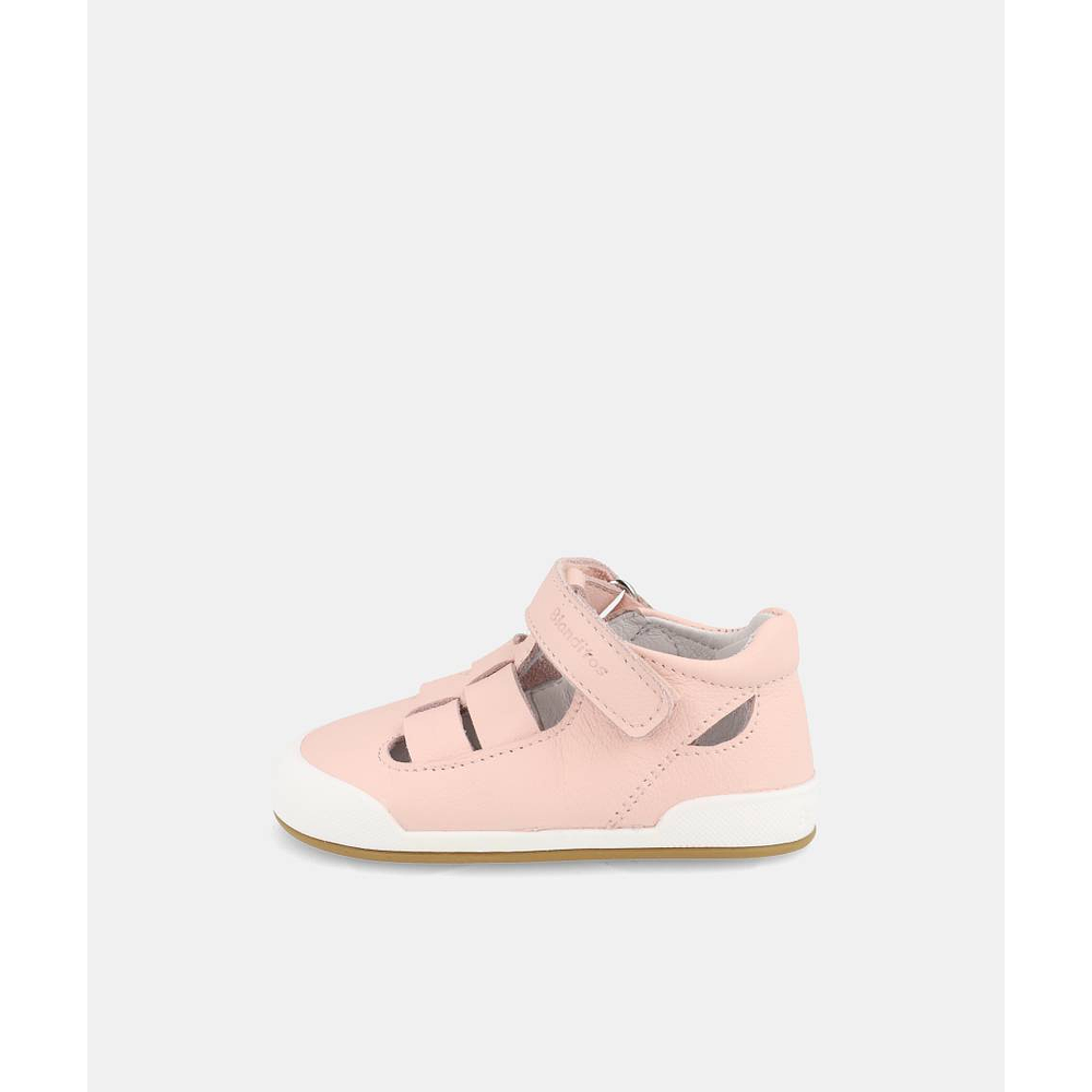 BLANDITOS - Oceano 26V