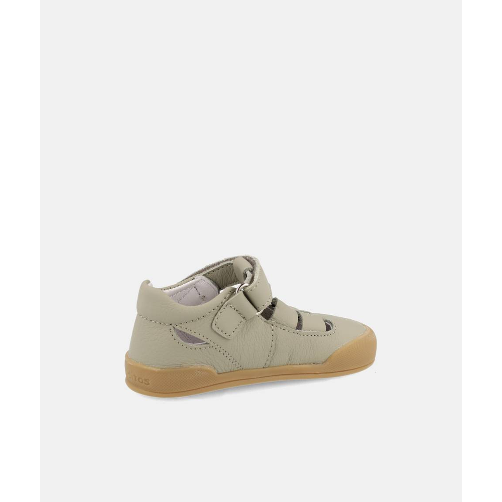 BLANDITOS - Oceano 26V