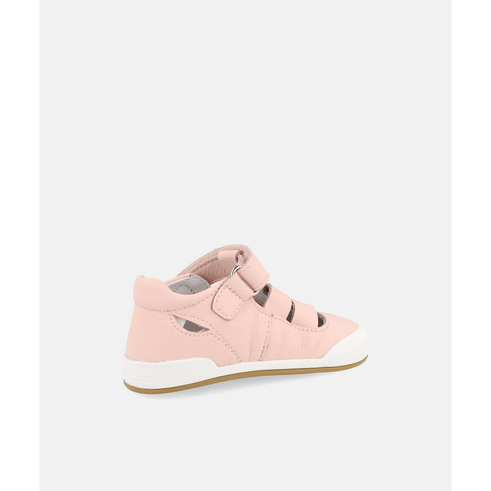 BLANDITOS - Oceano 26V