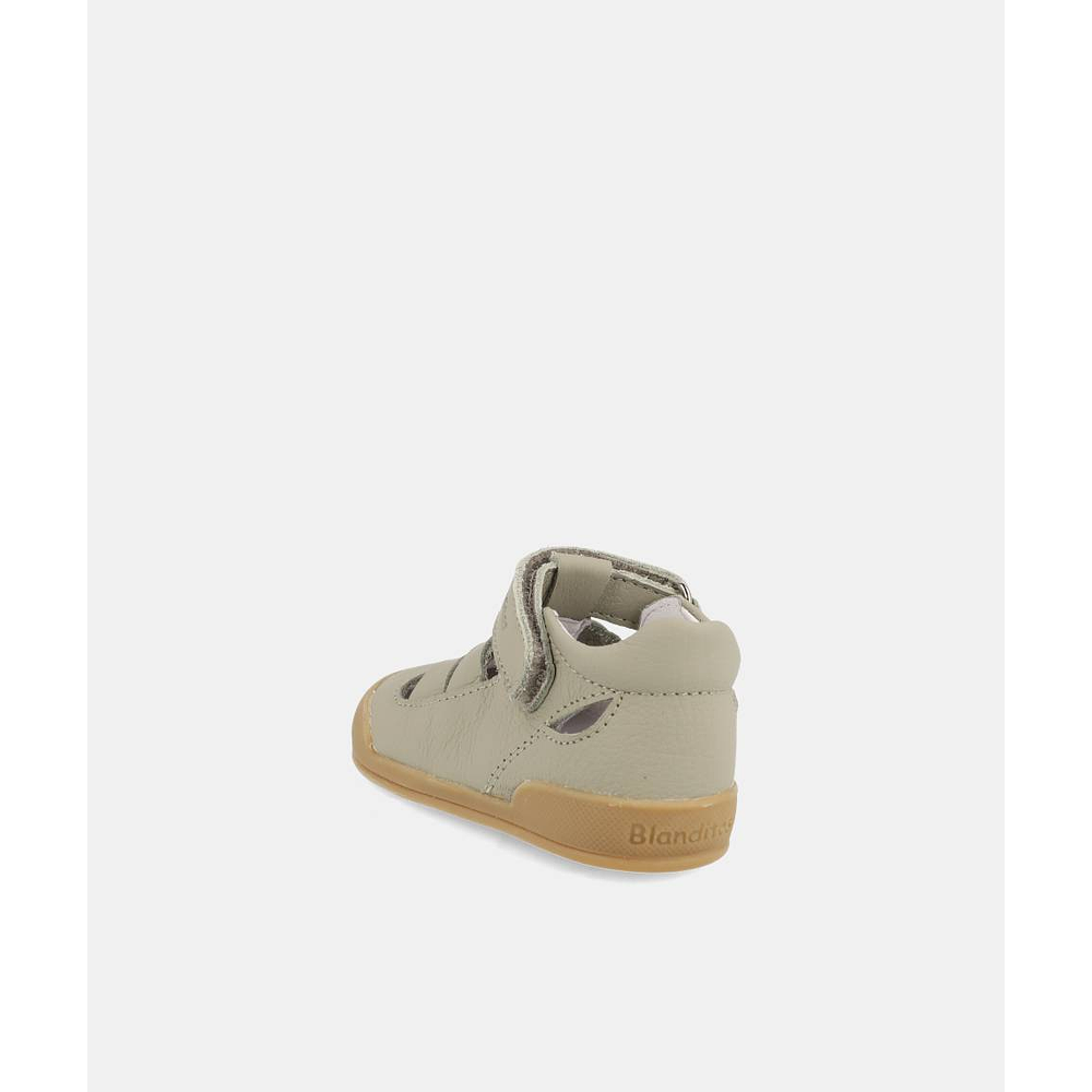 BLANDITOS - Oceano 26V