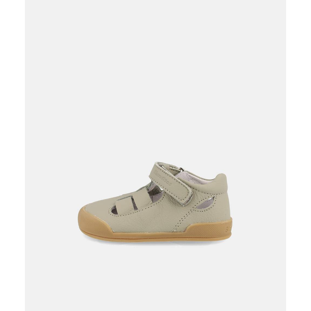 BLANDITOS - Oceano 26V