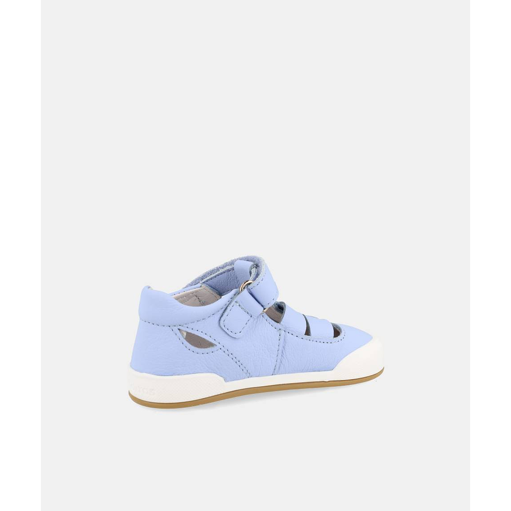 BLANDITOS - Oceano 26V