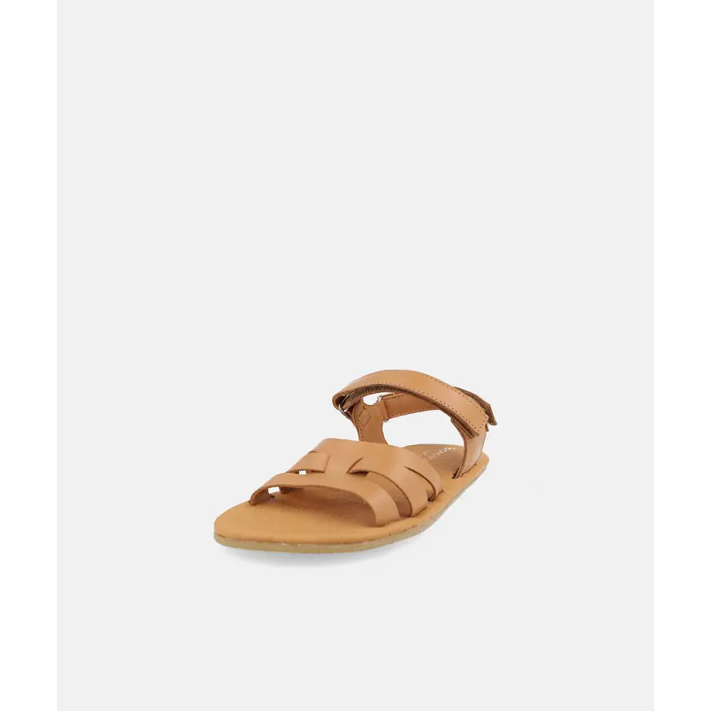 BLANDITOS - Verona 26V