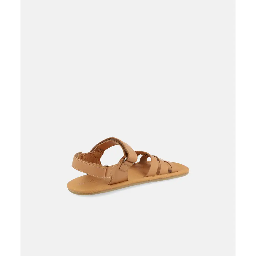 BLANDITOS - Verona 26V