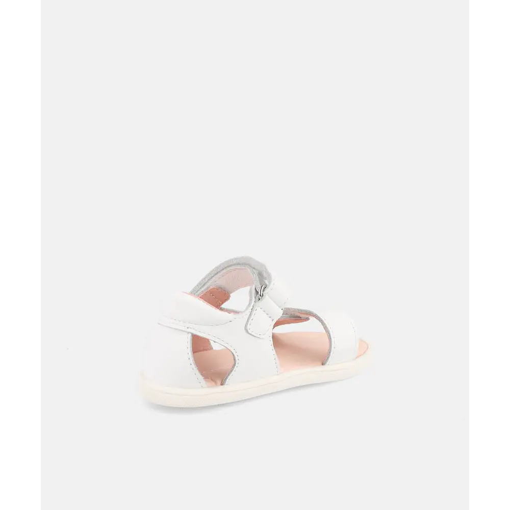 BLANDITOS - Siros 26V