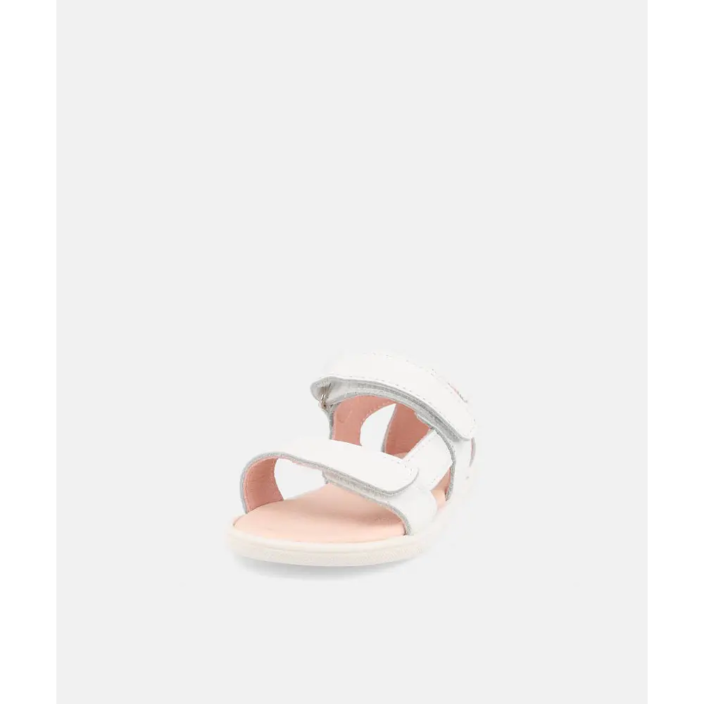 BLANDITOS - Siros 26V