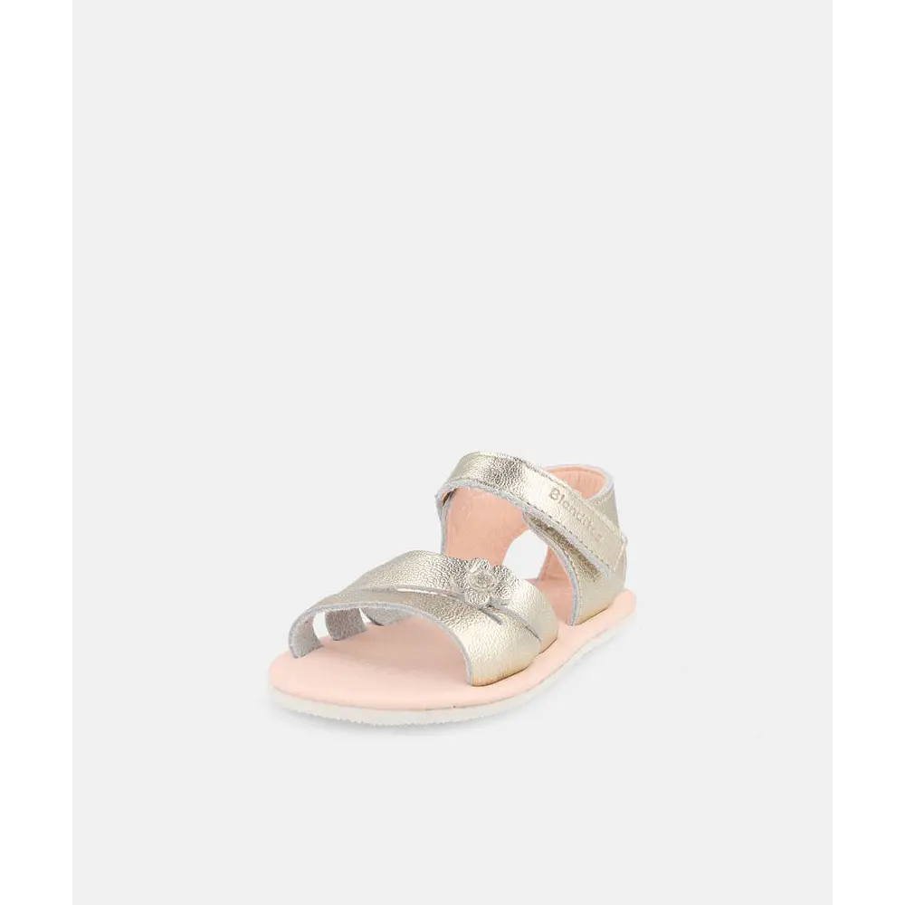 BLANDITOS - Malta 26V