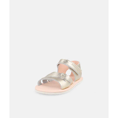 BLANDITOS - Malta 26V