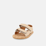 BLANDITOS - Arrecife 26V