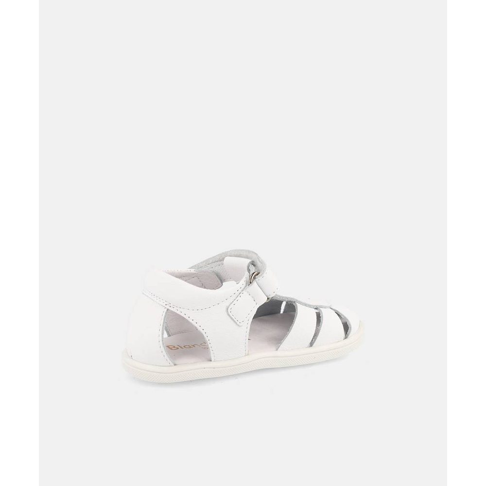 BLANDITOS - India 26V