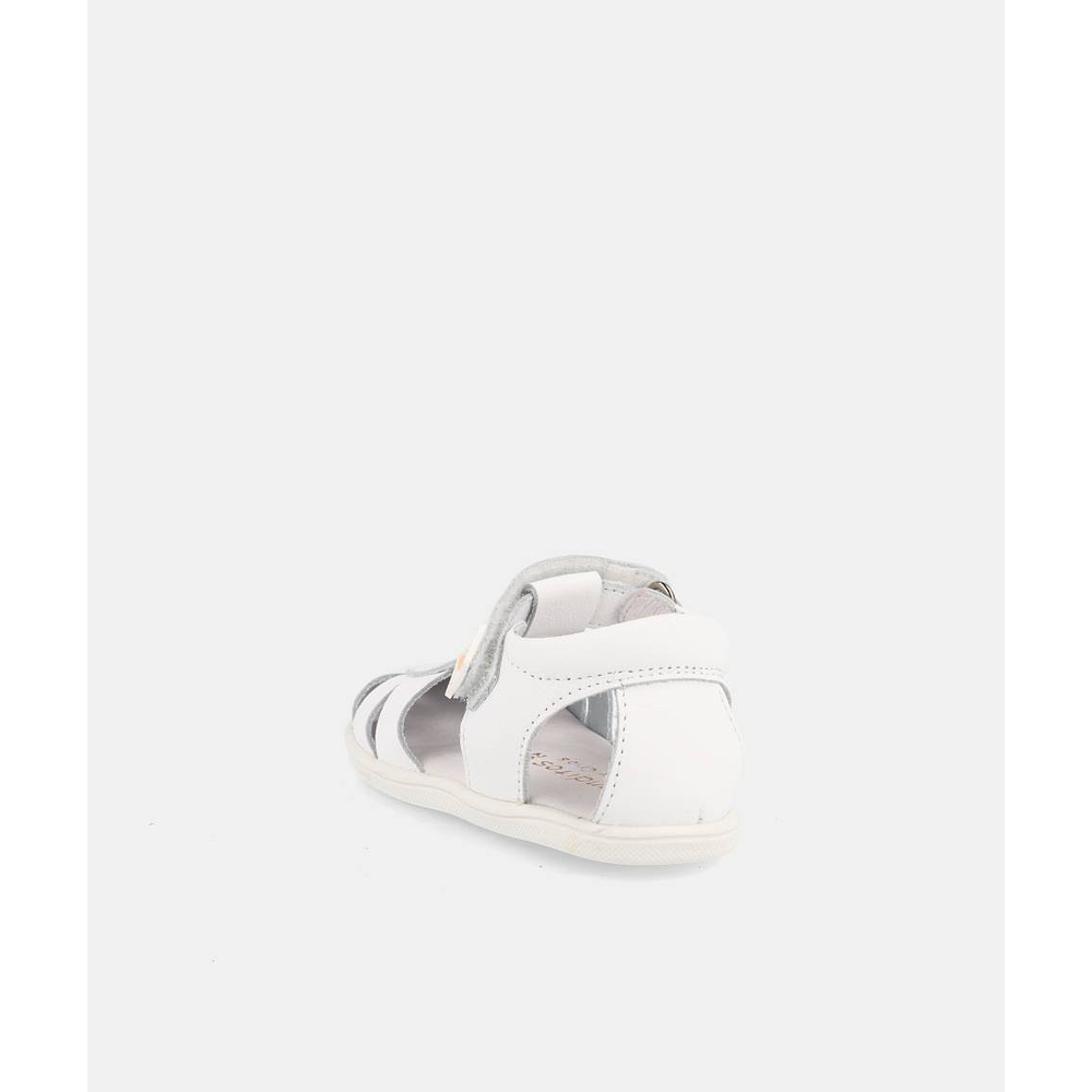 BLANDITOS - India 26V