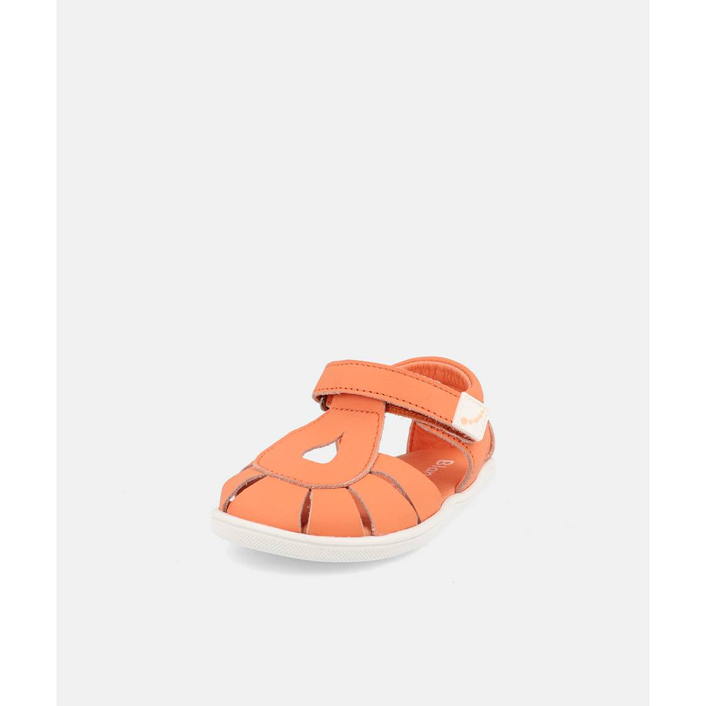 BLANDITOS - India 26V