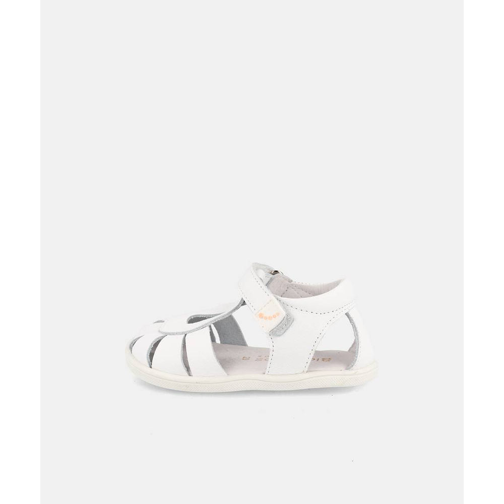 BLANDITOS - India 26V