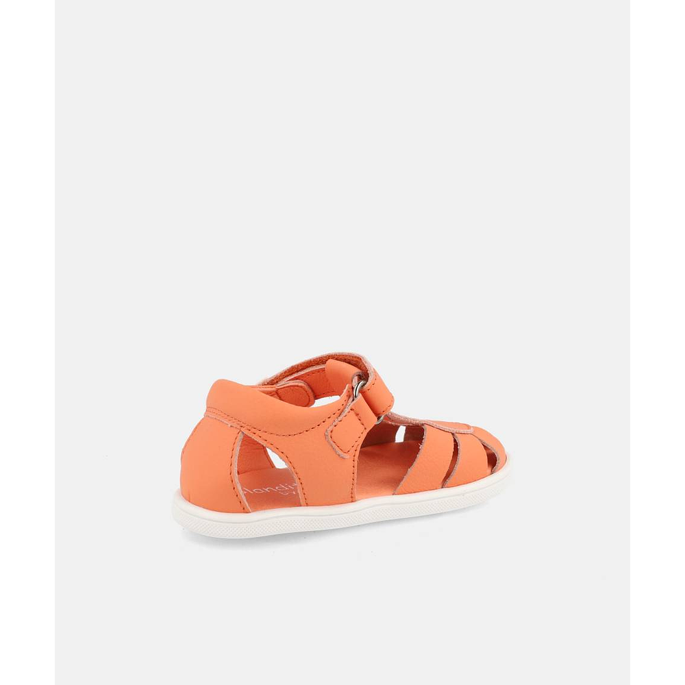 BLANDITOS - India 26V