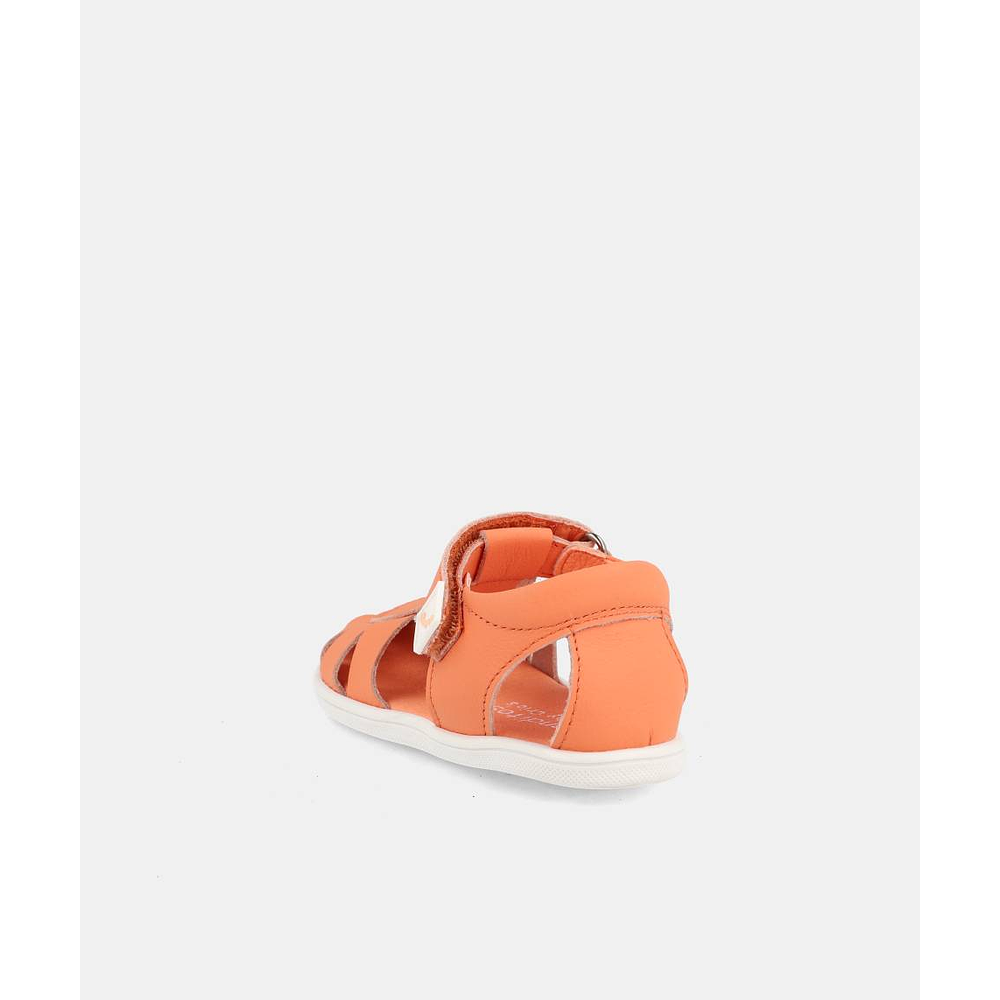 BLANDITOS - India 26V