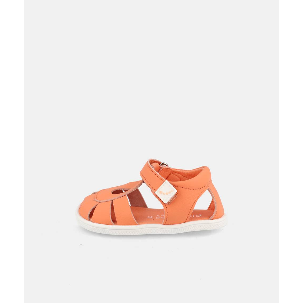 BLANDITOS - India 26V