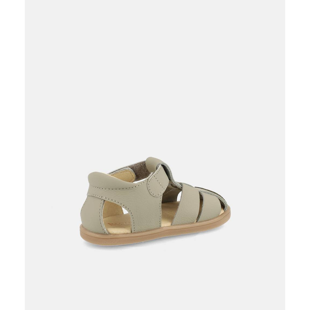 BLANDITOS - Costa 26V