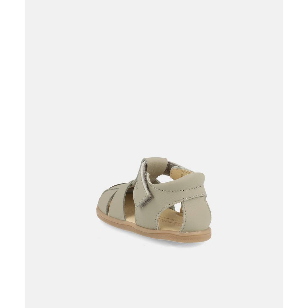 BLANDITOS - Costa 26V