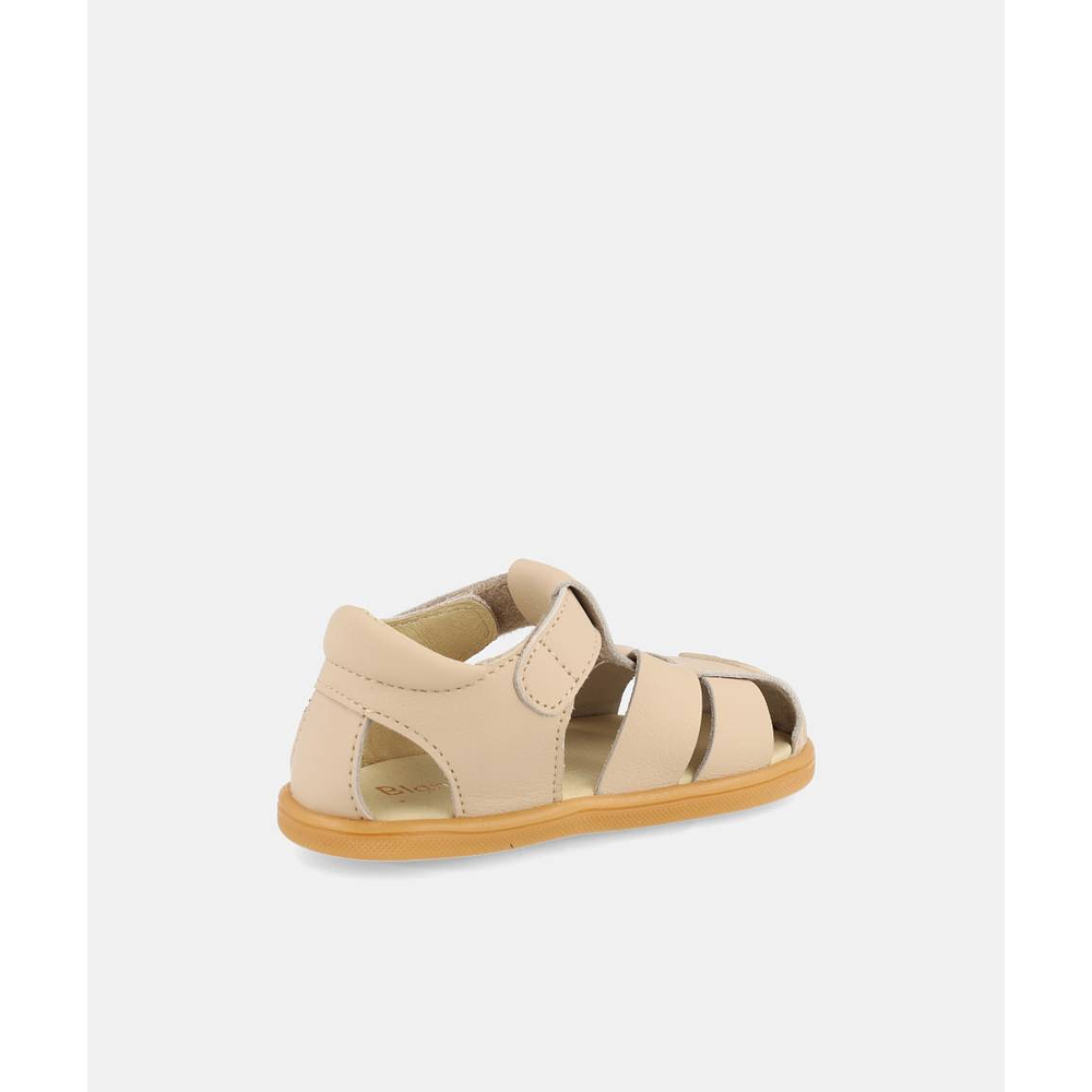 BLANDITOS - Costa 26V