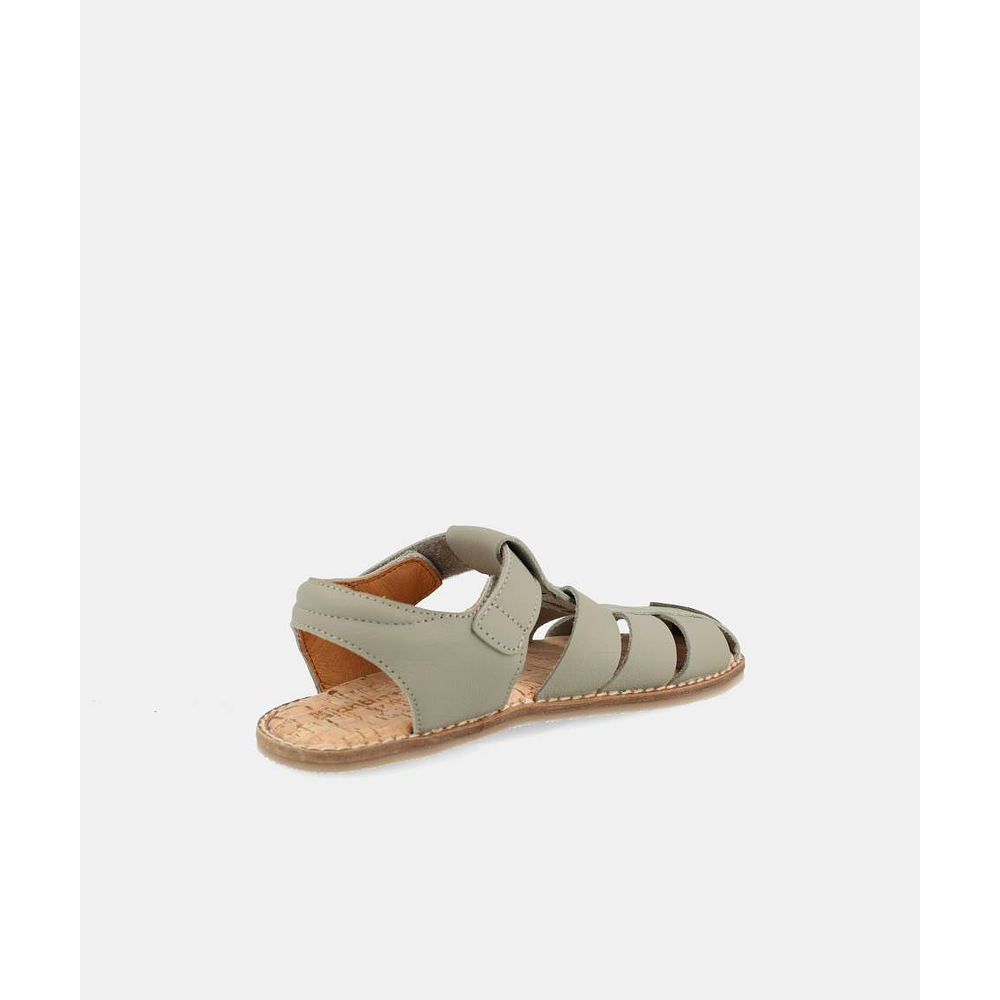 BLANDITOS - Saona 26V