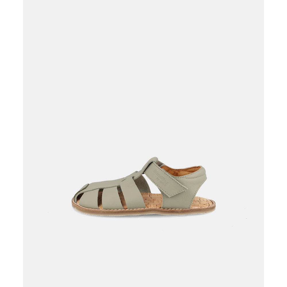 BLANDITOS - Saona 26V