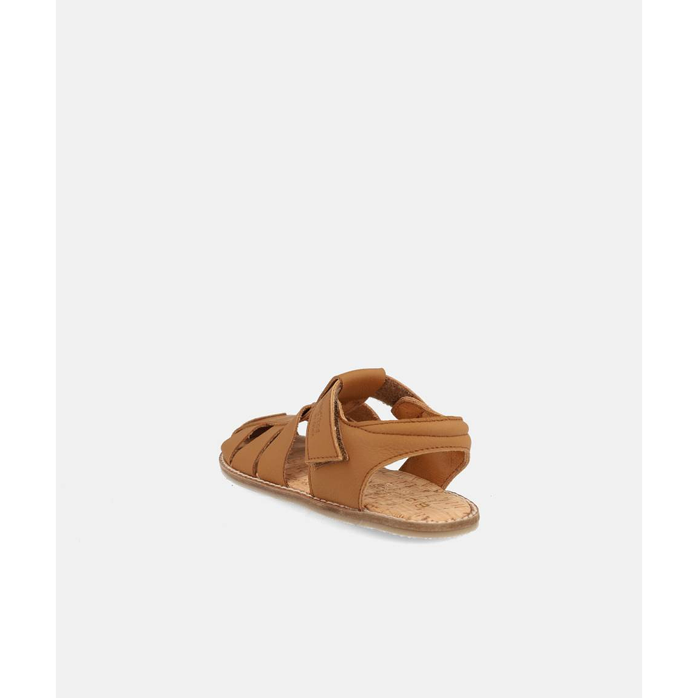 BLANDITOS - Saona 26V