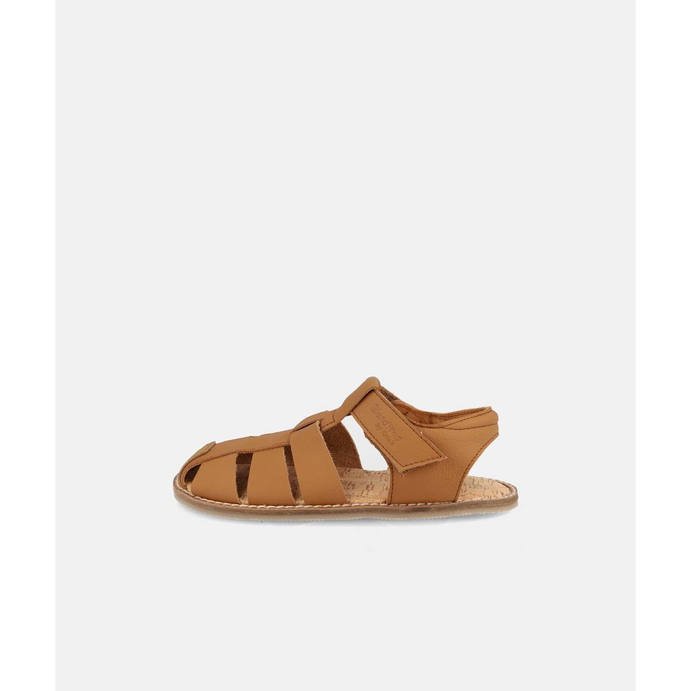 BLANDITOS - Saona 26V