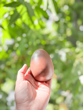 Huevito Crocante Belga 100 gr (Entrega desde 23/marzo)