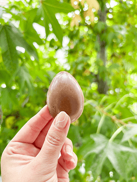 Huevito Crocante Belga 40 gr (Entrega desde 23/marzo)