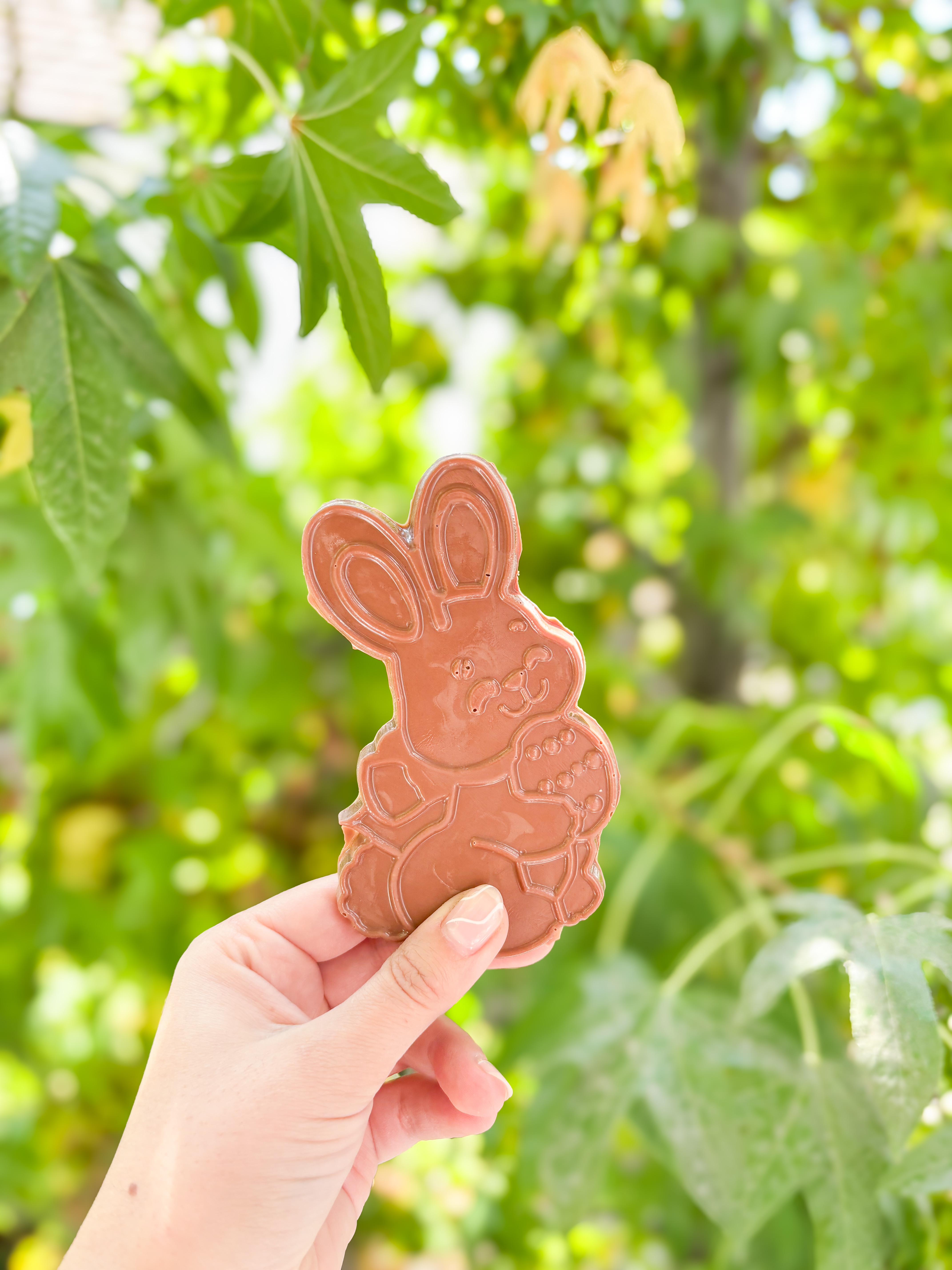 Conejito Crocante de Leche 50 gr (Entrega desde 23/marzo)