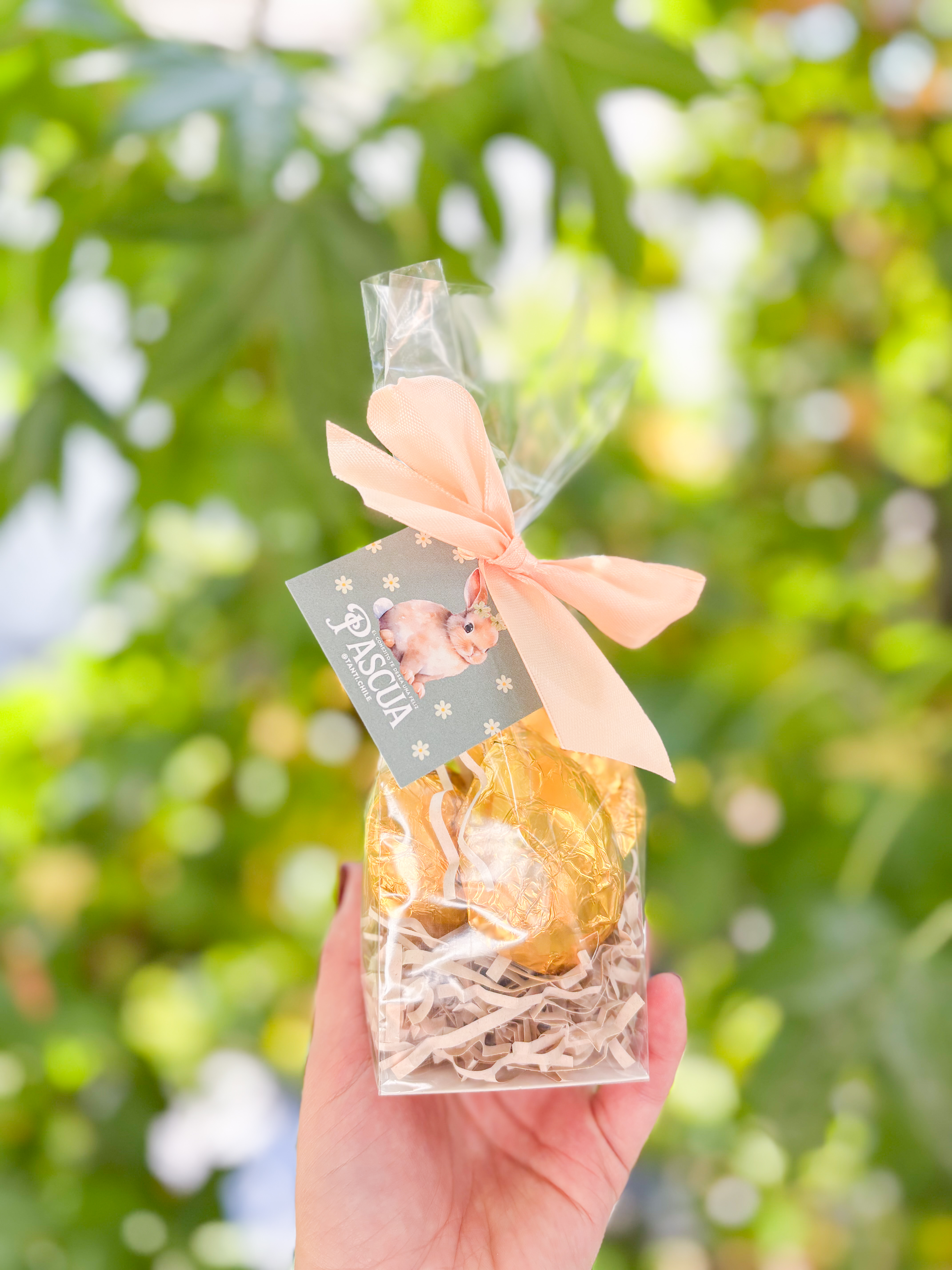 Huevitos Sin Azúcar 80 gr (Entrega desde 23/marzo)