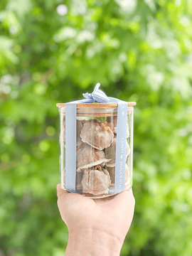 Frasco Bocados Manjar Nuez 250 gr