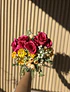 Colección Bloom N°7