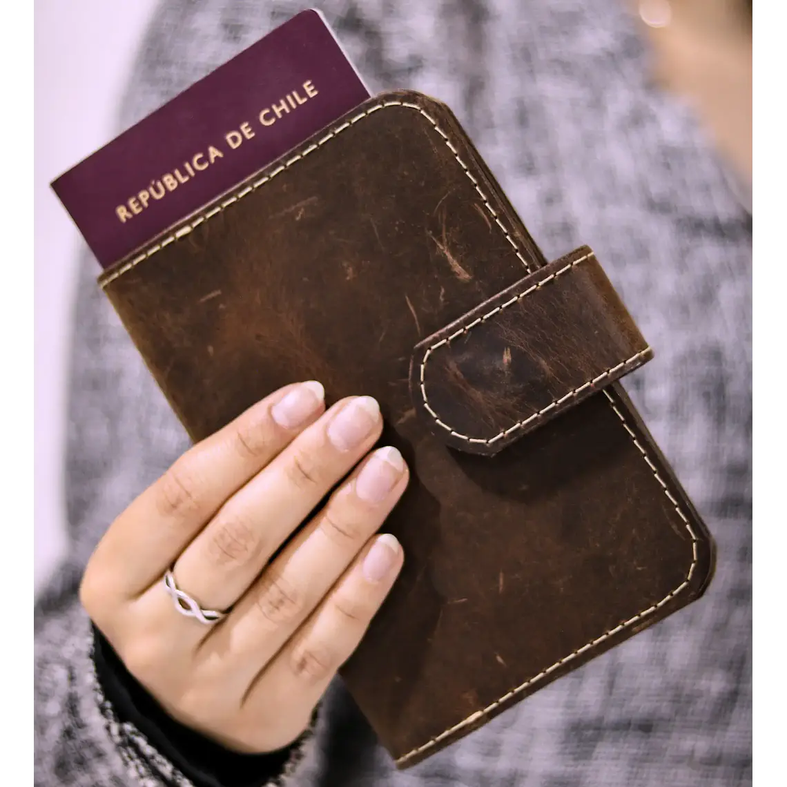 Porta Pasaporte 1
