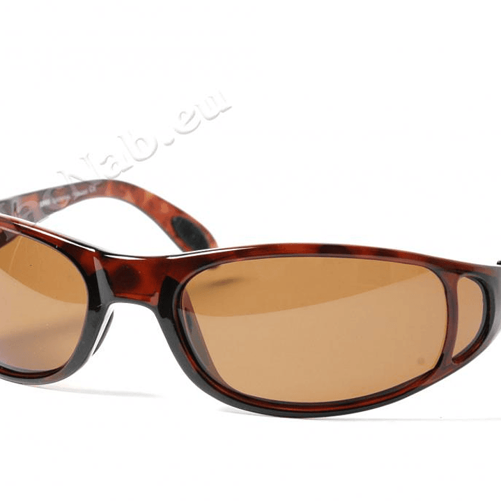 RAPALA LENTES POLARIZADOS 45 RA RVG-001BS 1