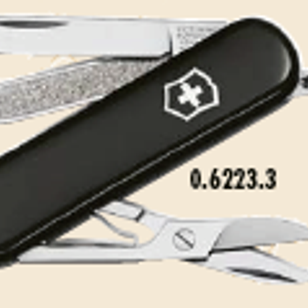VICTORINOX STYLE ICON 0.6223.G 1