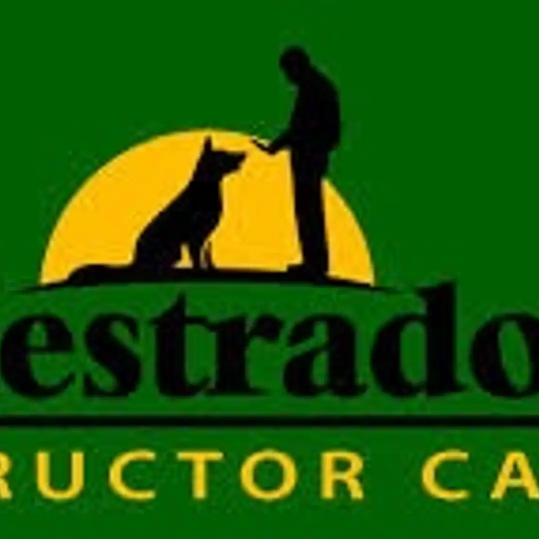 ADIESTRADOR DE PERROS ULTRASONIC 1077... 1