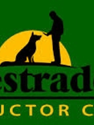 ADIESTRADOR DE PERROS ULTRASONIC 1077...