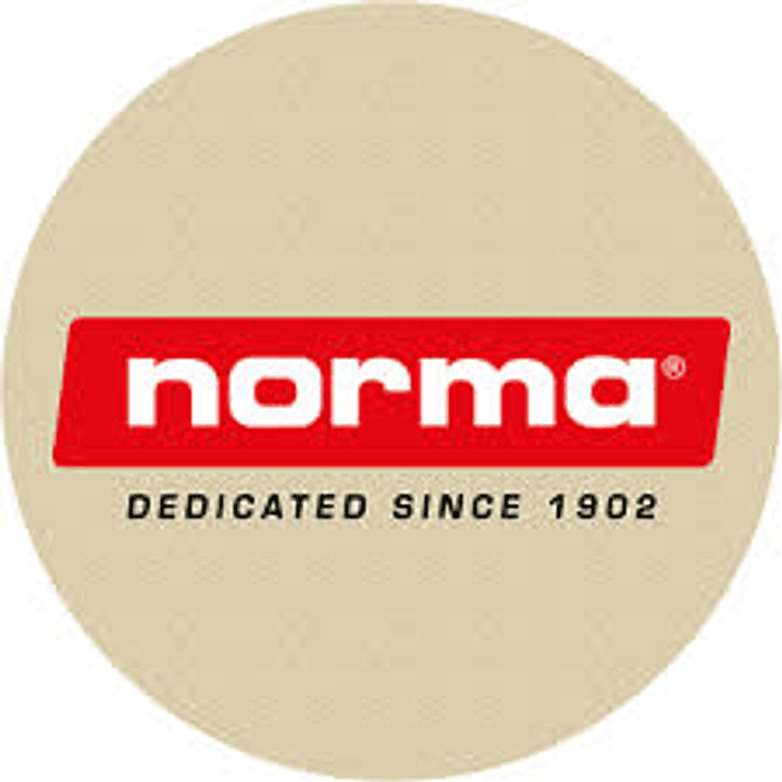 NORMA CAL.30-06 TIPSTRIKE 170GR 1