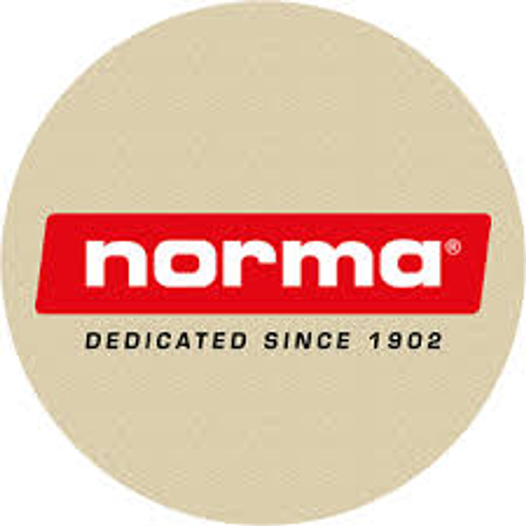 NORMA CAL.6MM NOBR DL 105GR 1