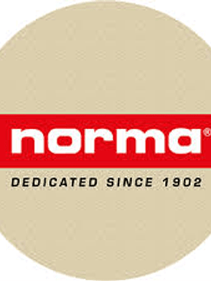 NORMA CAL.6MM NOBR DL 105GR