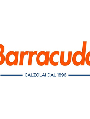 AQUASHOES BARRACUDA AZUL Nº35