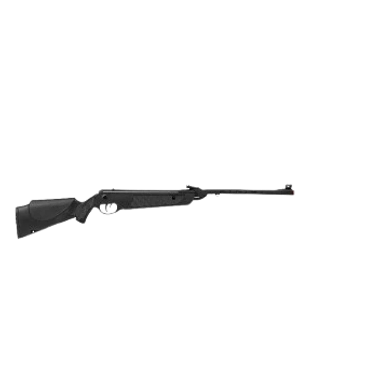 RIFLE ROSSI DIONE SPORT MH CALIBRE 5.5MM 1
